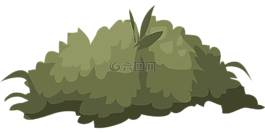 布什,自然,綠色