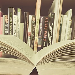 書籍,開放,庫
