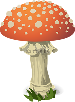 蘑菇,飛木耳,紅色