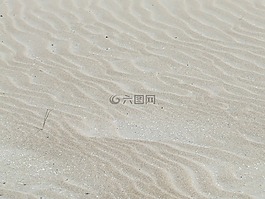 沙,海灘,白