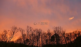 晚上,天空,暮光之城