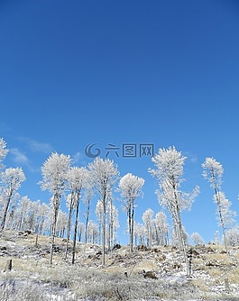 冬季,國家,斯洛伐克