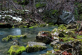 溪,河,水