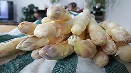 蘆筍,白,白蘆筍