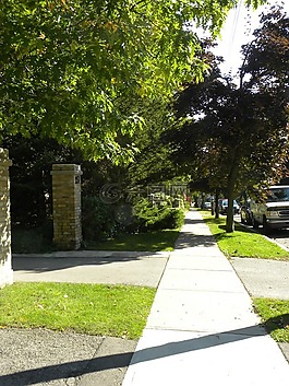 公園,葉子,徑