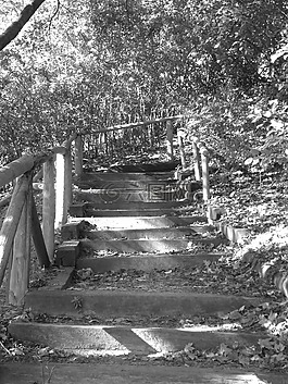 公園,traik,步驟