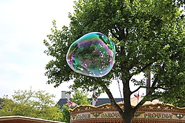 氣泡,樹,公園