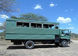 卡車,野生動(dòng)物園,吉普車