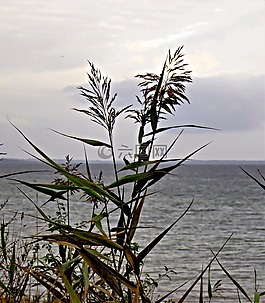波罗的海,秋天的心情,灰色的海