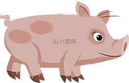 豬,粉紅色,動(dòng)物