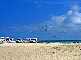 海灘,邁阿密,海