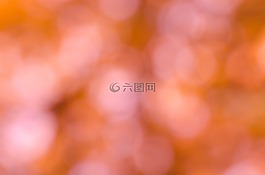 背景,抽象,夏天