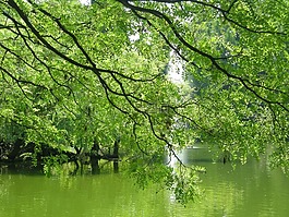 廠,性質(zhì),綠色