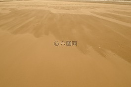 沙,海灘,背景