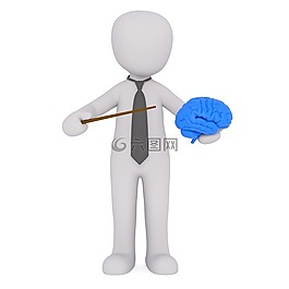 學習,老師,解剖學
