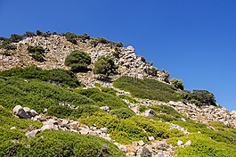 性質(zhì),景觀,天空