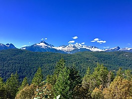 山,森林,荒野