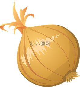 洋蔥,蔬菜,食品