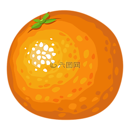 橙色,水果,柑橘
