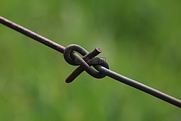 結(jié),電線,籬笆