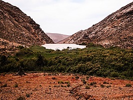 富埃特文圖拉,景觀,綠色