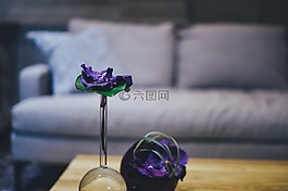 花,紫羅蘭色,花瓣