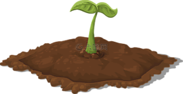 植物,小,sprouty