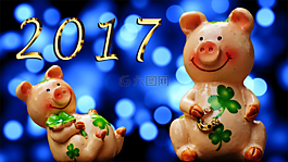 運(yùn)氣,仔豬,幸運(yùn)豬