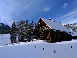 雪,冬天,冷