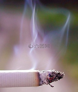 香煙,煙,藍(lán)色