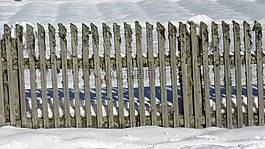 籬笆,雪,木柵欄