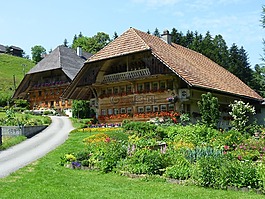瑞士,建筑物,度假村