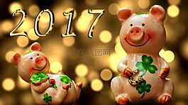 運氣,仔豬,幸運豬