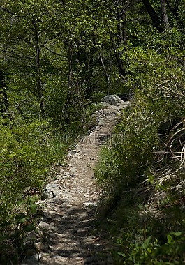 吉,山径,追踪