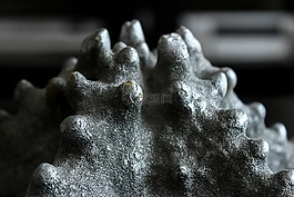 海星,海洋,水