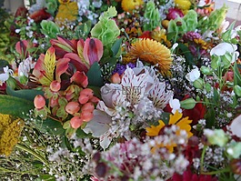 鮮花,花束,自然