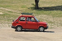 汽車,菲亞特,嬰兒