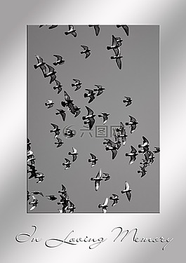 喪,死亡,死