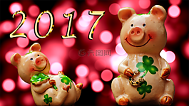 運(yùn)氣,仔豬,幸運(yùn)豬