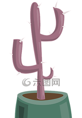 植物,仙人掌,多汁
