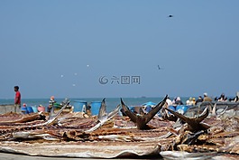 市场,鱼,干