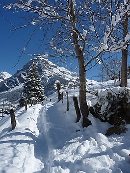 雪,冬天,山