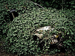 汽車,殘骸,廢鋼