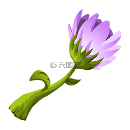 花的,自然,開花