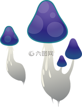 蘑菇,帽,真菌