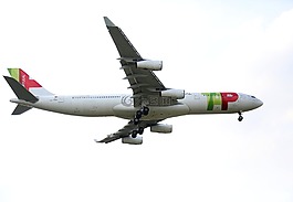 飛機,龍頭,飛行