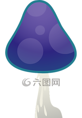 蘑菇,帽,真菌