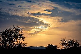 日落,樹,天空