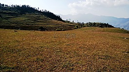 印度,高原,山
