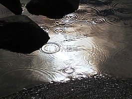 雨,湖,水